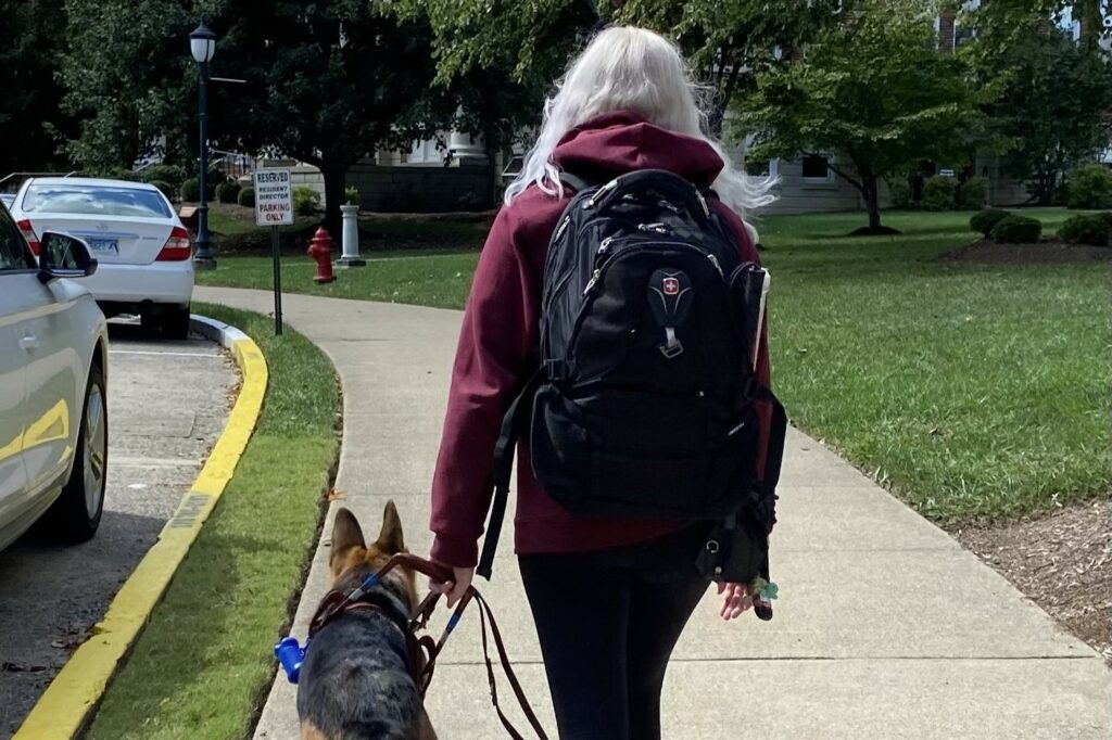 A female college student walks with a black backpack on. She has white hair and a maroon sweatshirt on. To her left is a black and tan German Shepherd walking beside her. The college student is holding onto a brown leather harness and the German Shepherd is guiding her. 