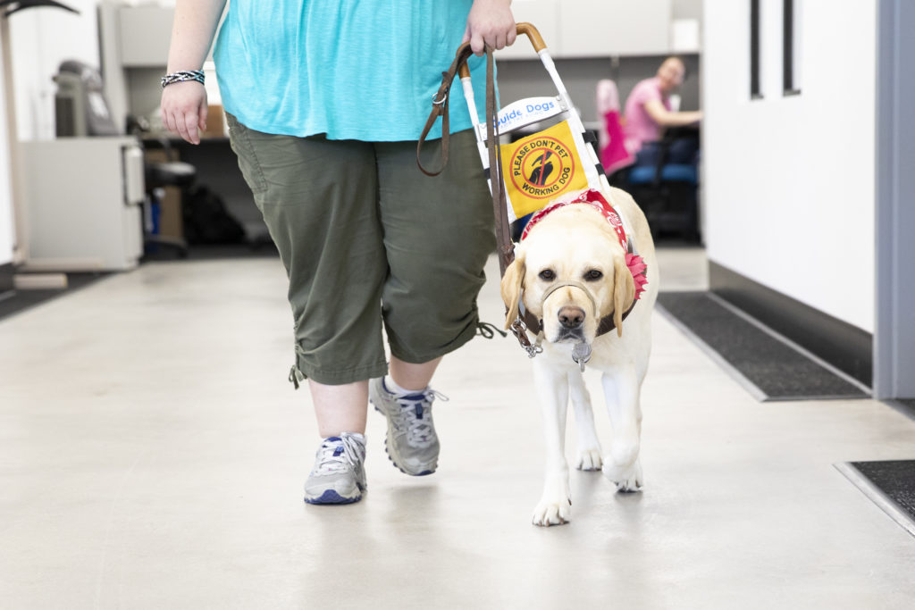 woman walking with guide dog in office setting